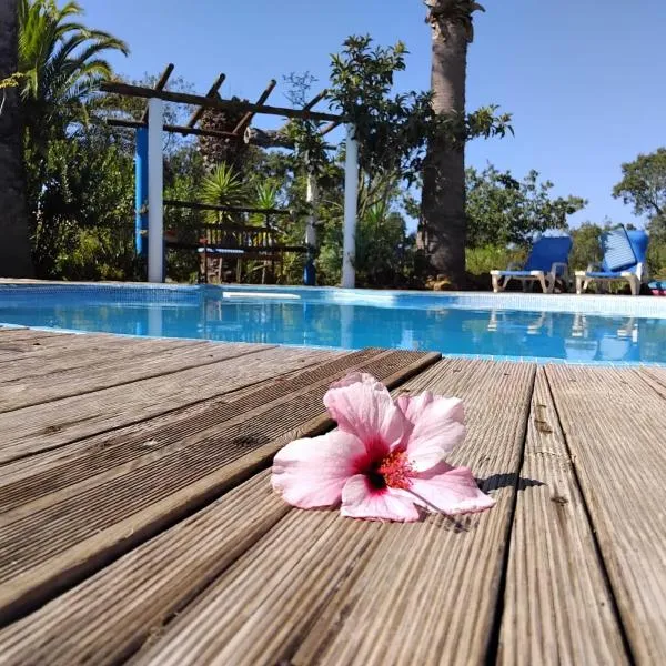 Quinta do Paraiso，位于圣特奥托纽的酒店