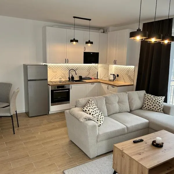 Apartament 37，位于索斯诺维茨的酒店