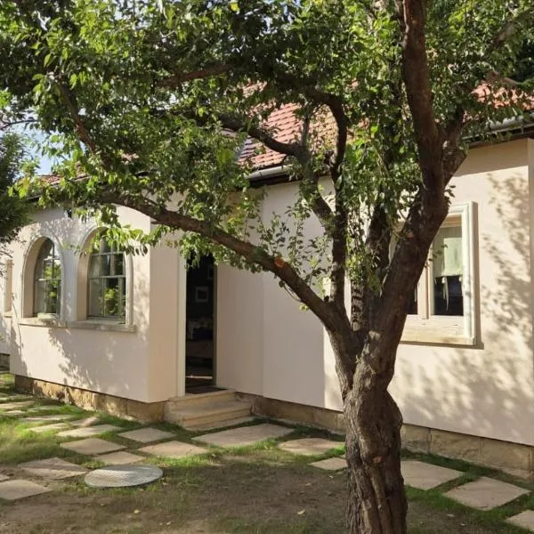 Stone House，位于特尔古-塞奎斯的酒店