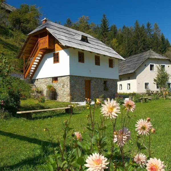 Turistična kmetija Povh，位于Prevalje的酒店