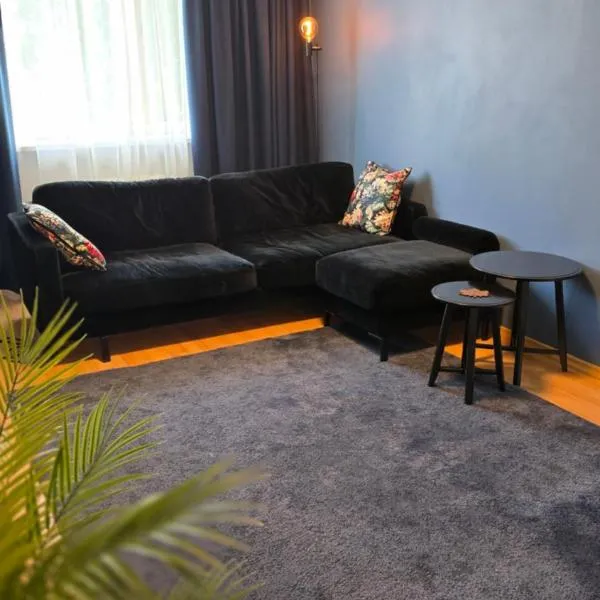 Pakri apartment，位于帕尔迪斯基的酒店