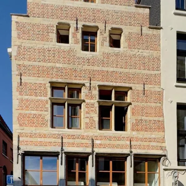 Dolfijn Hostel，位于安特卫普的酒店