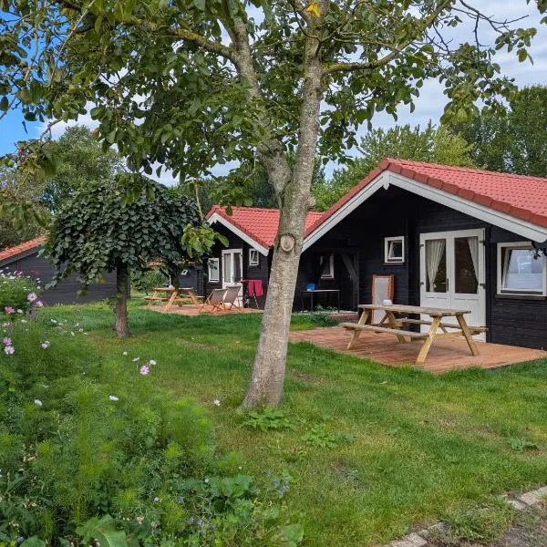 The Bee - Trekkershuts & Apartment，位于Opperdoes的酒店