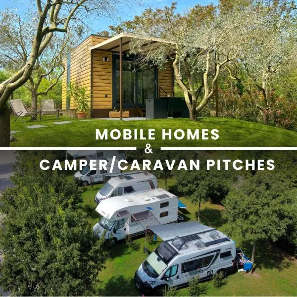 Seregnér Agricamping & Homes - Adults Only 18，位于蒙赞巴诺的酒店