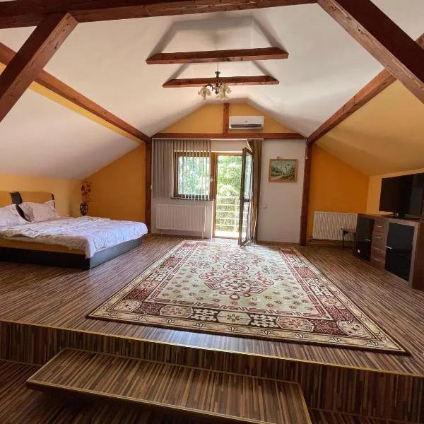 Cabană cu gradină in Iași-Bârnova，位于Bîrnova的酒店