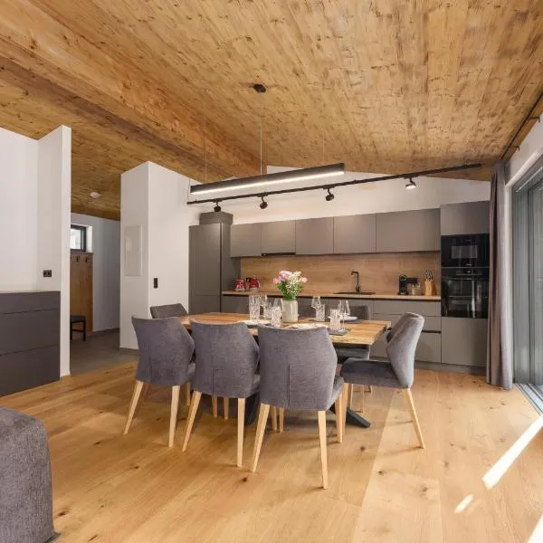 Alpenlodge Haus - SKIING resort，位于恩斯塔尔豪斯的酒店