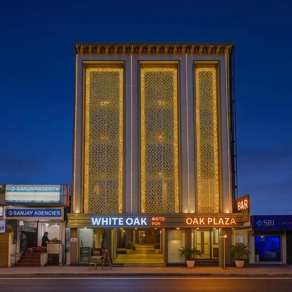 HOTEL OAK PLAZA - In-House Restaurant and Parking Near Connaught Place，位于新德里的酒店