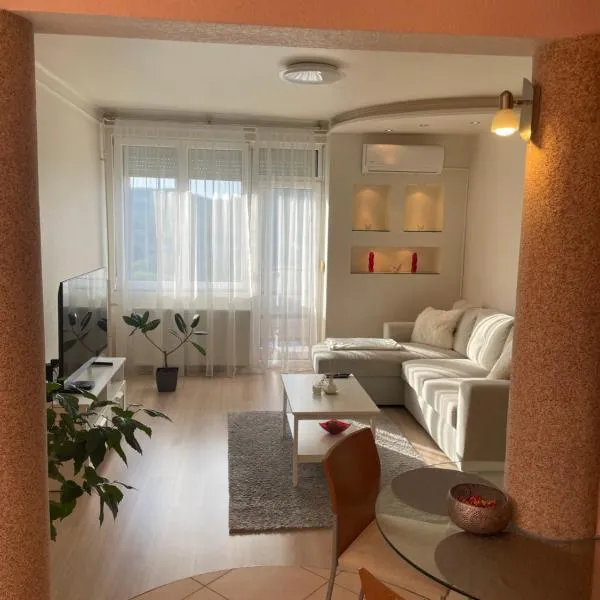 Encsi apartman，位于绍尔戈陶尔扬的酒店