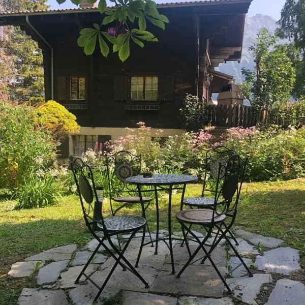 Chalet Mex 15，位于圣莫里斯的酒店