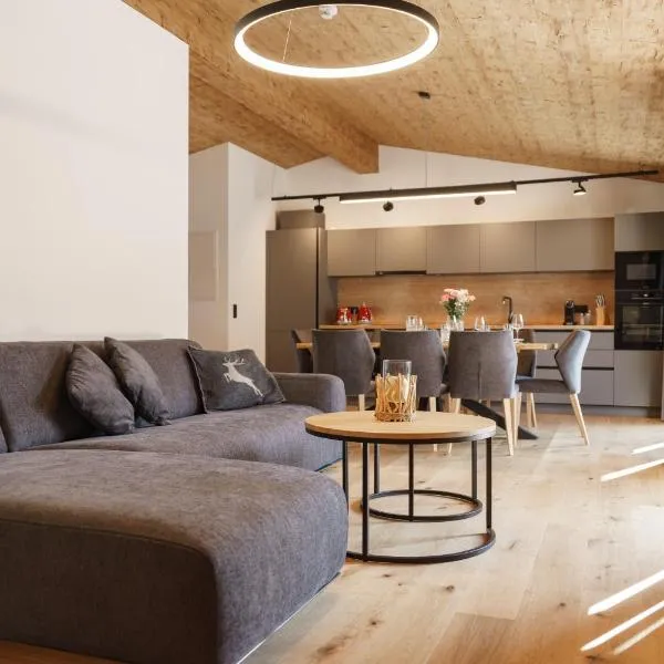 Alpenlodge Haus - SKIING resort，位于恩斯塔尔豪斯的酒店