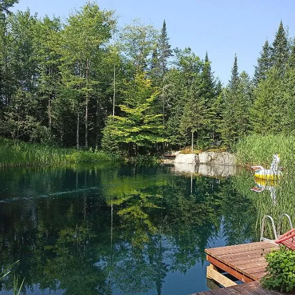 Private Hummingbird Room - Modern & Cozy，位于Mansonville的酒店