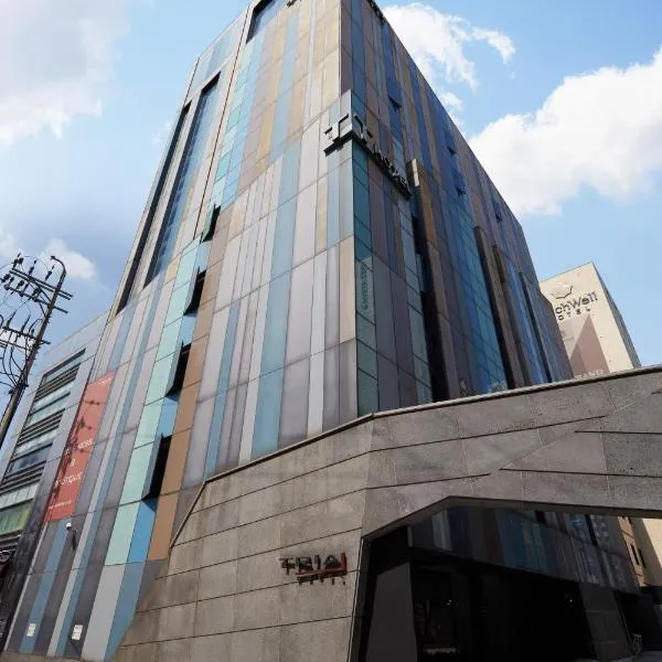 特瑞亚商务&精品酒店，位于首尔的酒店