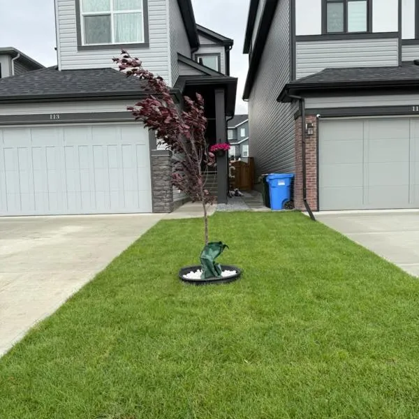 Super house，位于Calgary的酒店