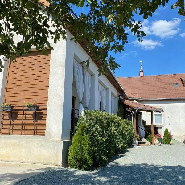 Casa Miriam，位于Păuliş的酒店