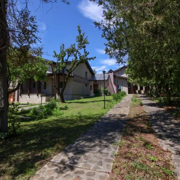 Casa Galand，位于Pîrscov的酒店