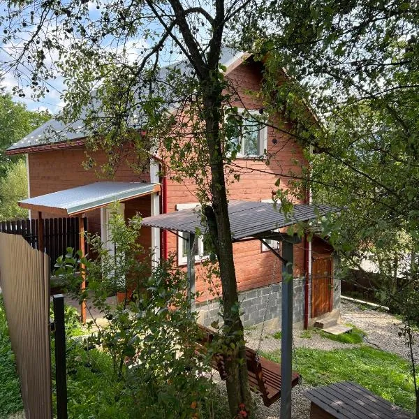 Карпатський котедж Karpatian cottage，位于沃罗赫塔的酒店