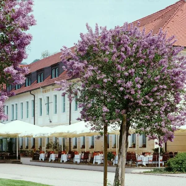德累斯顿皮尔尼茨城堡酒店，位于德累斯顿的酒店