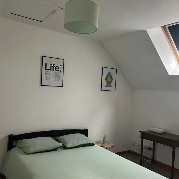 Duplex cosy aux portes de la ville de Tours，位于La Riche的酒店
