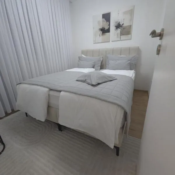 Sara Luxe Apartment，位于科尼茨的酒店