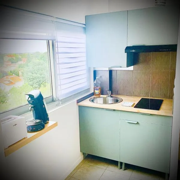 15G Bron centre hôpital Desgenette Vinatier，位于布隆的酒店