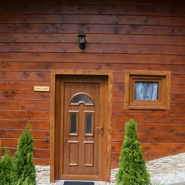 Sankt Egyden Holzhäuschen，位于圣伊基顿的酒店