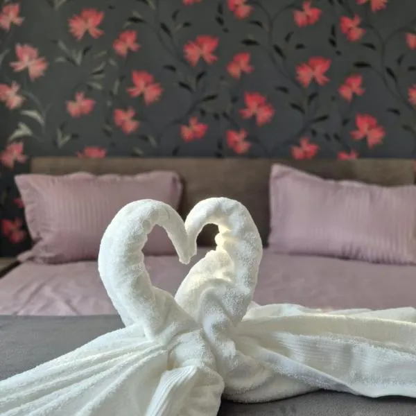 Sofia Apartment，位于皮亚特拉-尼亚姆茨的酒店