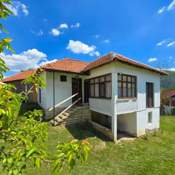 Etno smeštaj Stojadinović，位于Svrljig的酒店