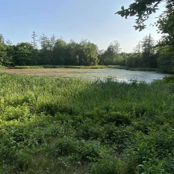 Købmandsgården i Blære，位于Års的酒店