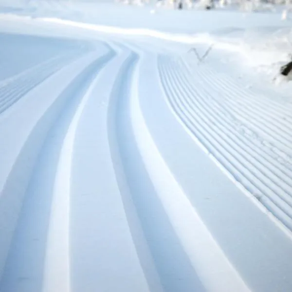 12 - Fulufjellets nasjonalparker - snø - alpint - langrenn - snøscooter，位于Ljørdal的酒店