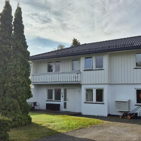 Teientoppen Apartment，位于拉尔维克的酒店