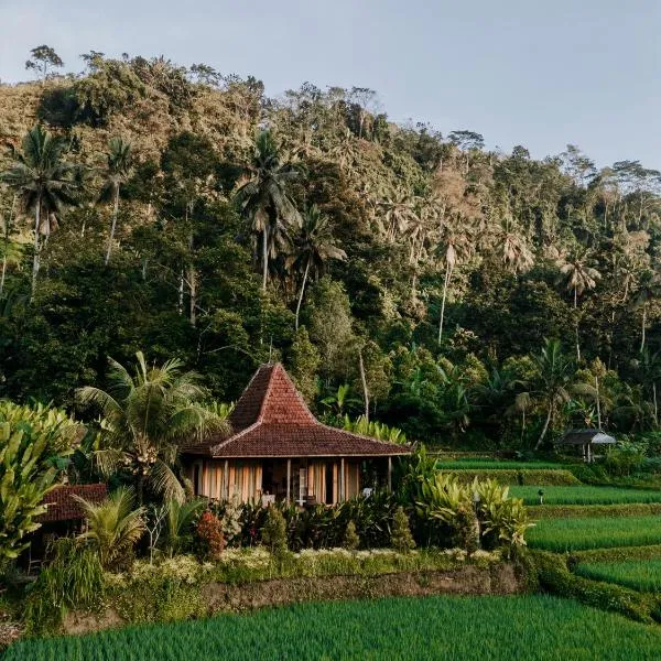 Ravelyn House，位于Silebeng的酒店