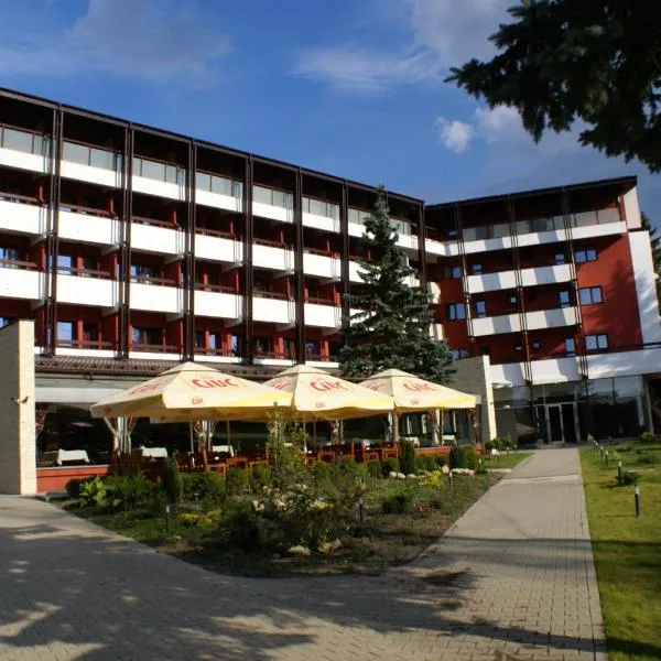喀尔巴阡酒店，位于普雷代亚尔的酒店