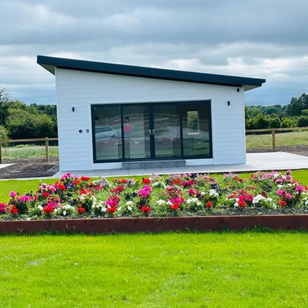 Kildare Holiday Apartments No 3，位于基尔代尔的酒店