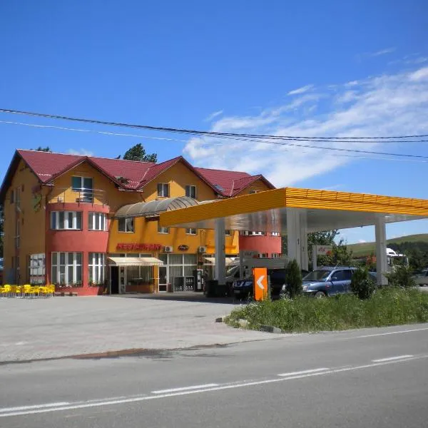 Motel Dalia，位于Petrindu的酒店