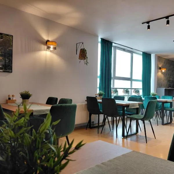 Gościniec nad Olzą，位于切申的酒店