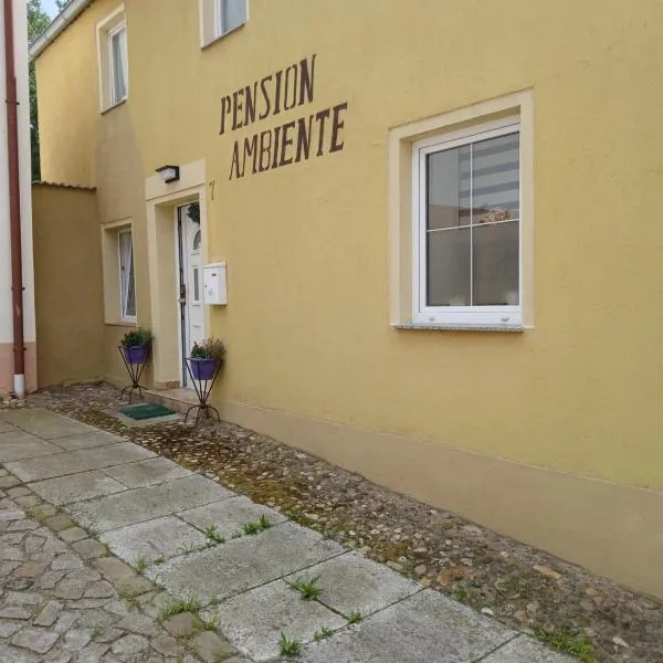 Pension Ambiente，位于Mühlberg的酒店