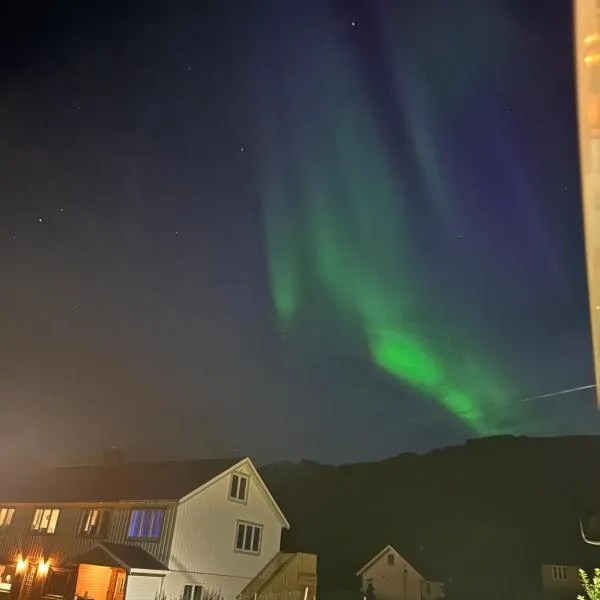 Northern Dream Lofoten，位于Hovdan的酒店