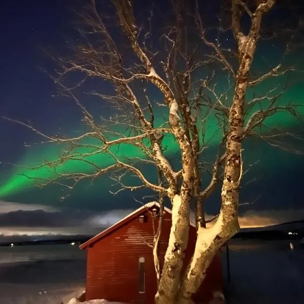 Charming place in Tromsø by the sea.,位于Håkøybotn的酒店