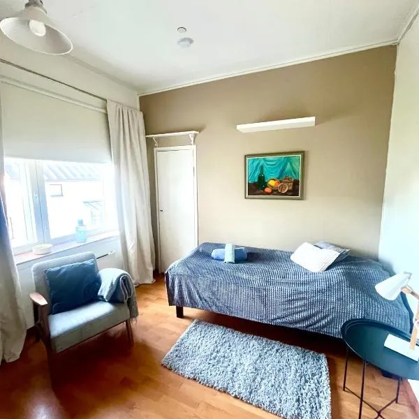 Snygg studio lägenhet Wolffskavägen 21，位于瓦萨的酒店