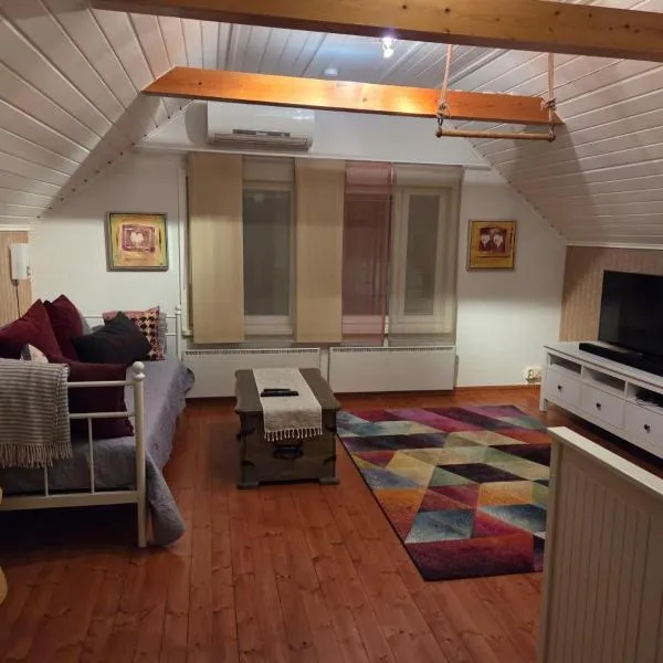 Guesthouse Onnia, kattohuoneisto Siurossa，位于Siuro的酒店