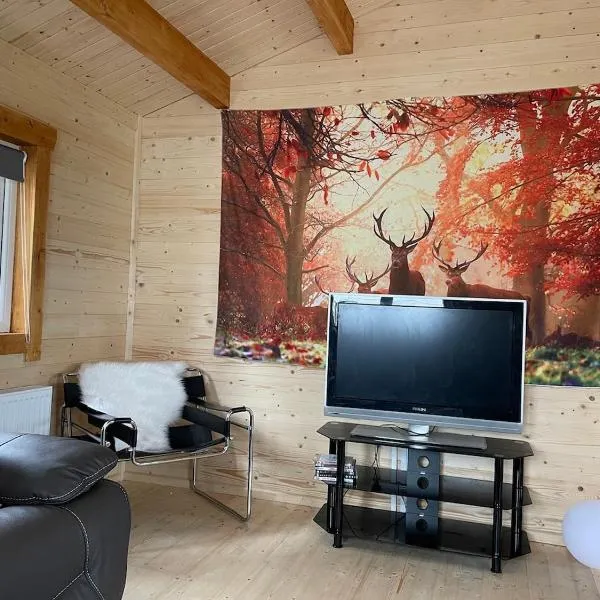Log Cabin with Hot Tub Large Patio Near Cork city，位于科克的酒店
