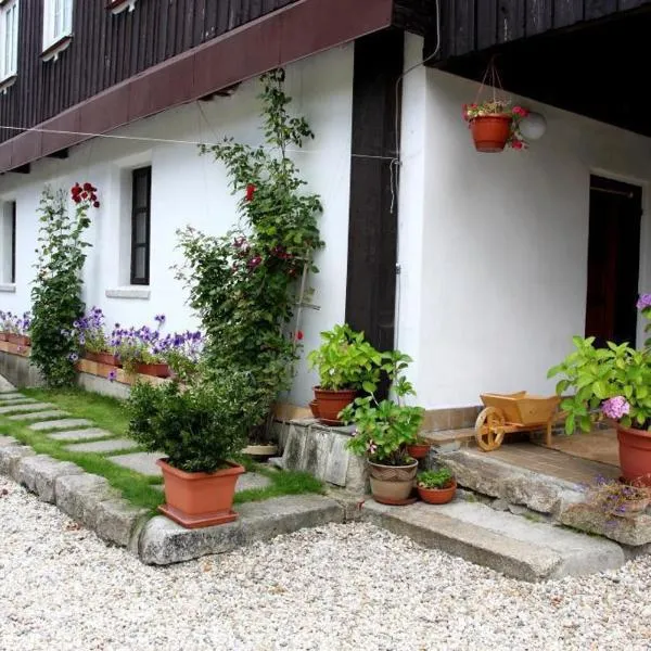 Když nevíte kam, přijeďte k nám penzion D'Artagnan，位于科热诺夫的酒店