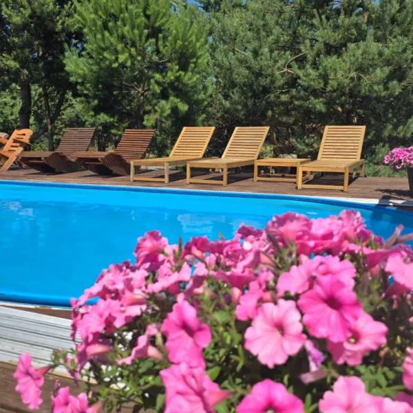 Leśna Osada przy Suntago Park，位于Krzyżówka的酒店