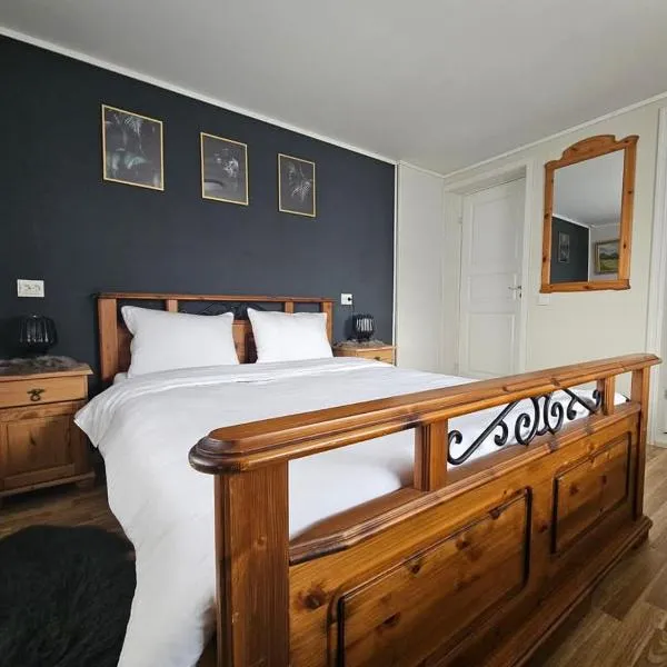 Cabana Vikingilor Bucovina，位于瓦马的酒店