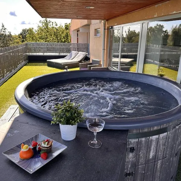 Delux Penthouse & SPA，位于里加的酒店