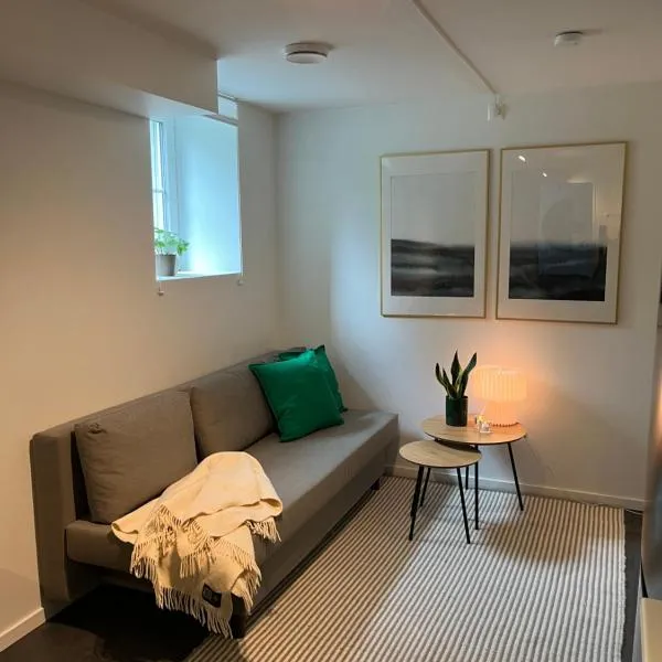 Newly renovated apartment close to city center，位于奥斯陆的酒店