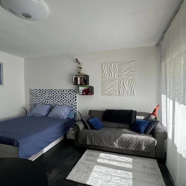 Appartement bien-être avec jardin, jacuzzi, sauna & massage entre Bourges et Sancerre，位于Les Aix-dʼAngillon的酒店