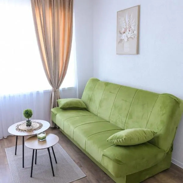 Stan na dan-Studio 10 centar Gradiška，位于格拉迪什卡的酒店