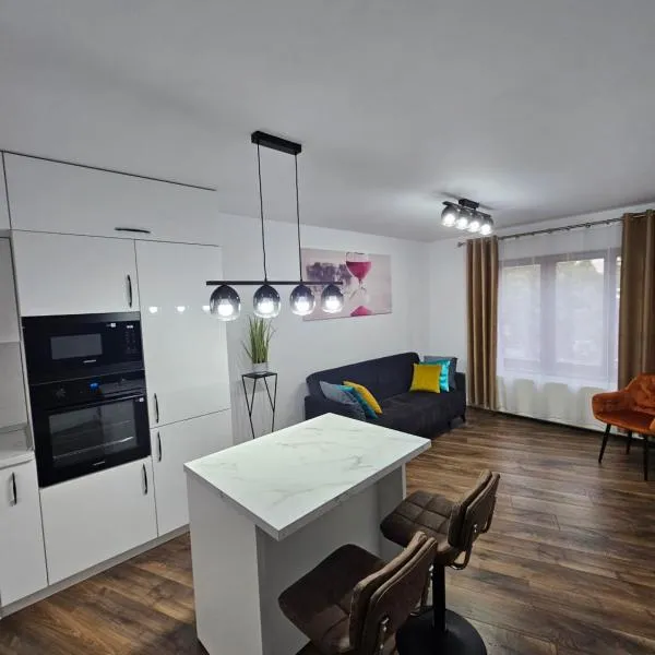 Concept Luxury，位于梅迪亚什的酒店