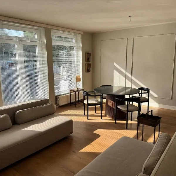 Spacious apartment with roof terrace and balcony，位于阿纳姆的酒店